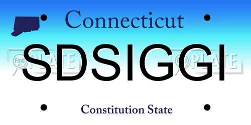 SDSIGGI Connecticut License Plate