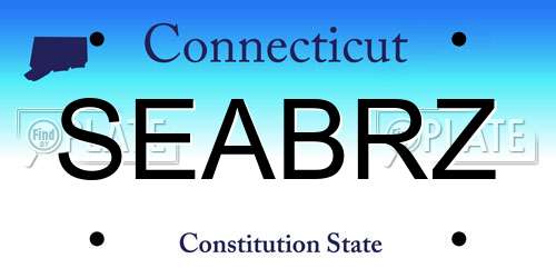 SEABRZ Connecticut License Plate