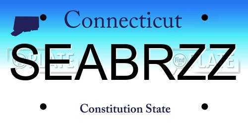SEABRZZ Connecticut License Plate