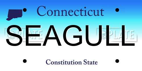 SEAGULL Connecticut License Plate