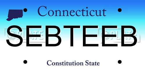 SEBTEEB Connecticut License Plate