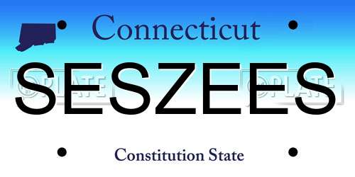 SESZEES Connecticut License Plate