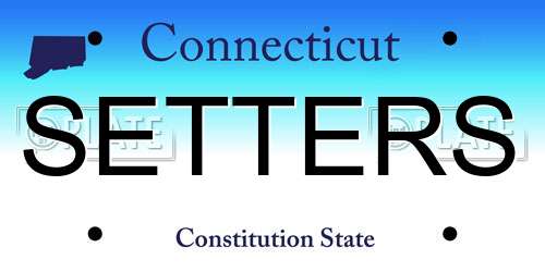 SETTERS Connecticut License Plate
