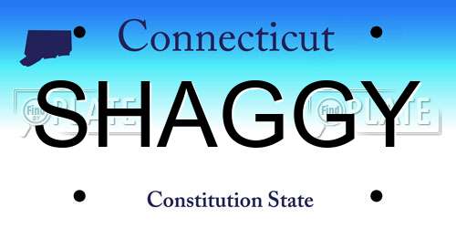 SHAGGY Connecticut License Plate