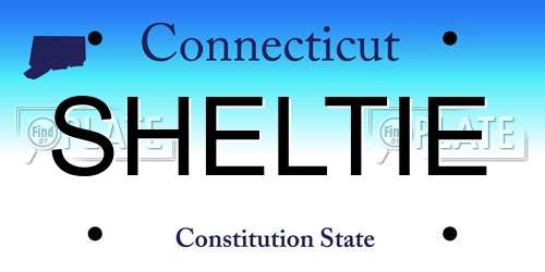 SHELTIE Connecticut License Plate