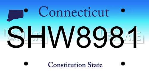 SHW8981 Connecticut License Plate