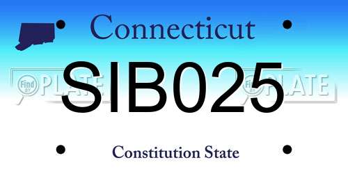SIB025 Connecticut License Plate