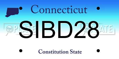 SIBD28 Connecticut License Plate