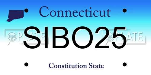 SIBO25 Connecticut License Plate