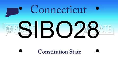 SIBO28 Connecticut License Plate