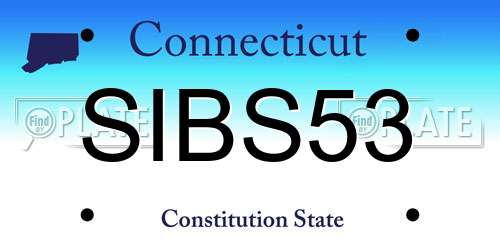 SIBS53 Connecticut License Plate