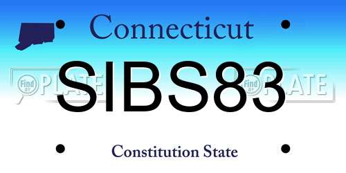 SIBS83 Connecticut License Plate