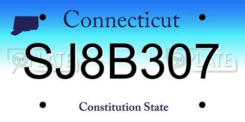 SJ8B307 Connecticut License Plate