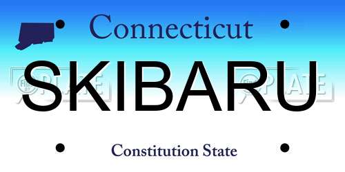 SKIBARU Connecticut License Plate