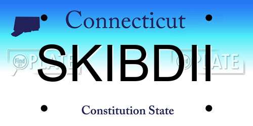 SKIBDII Connecticut License Plate