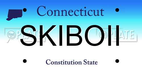 SKIBOII Connecticut License Plate