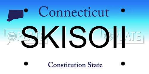 SKISOII Connecticut License Plate