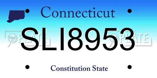 SLI8953 Connecticut License Plate