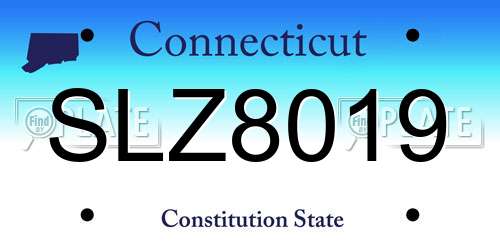SLZ8019 Connecticut License Plate