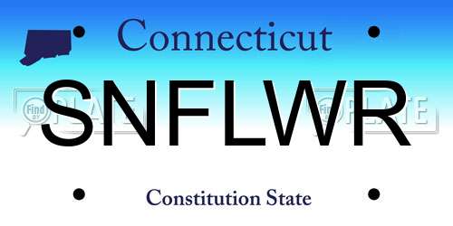 SNFLWR Connecticut License Plate