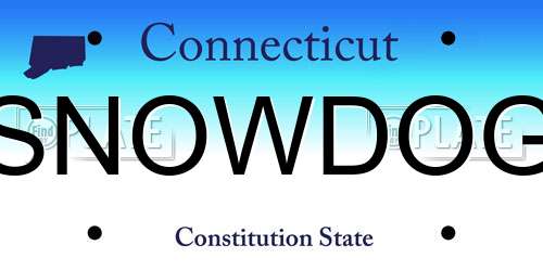 SNOWDOG Connecticut License Plate