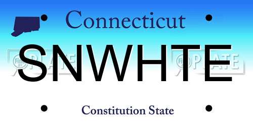 SNWHTE Connecticut License Plate