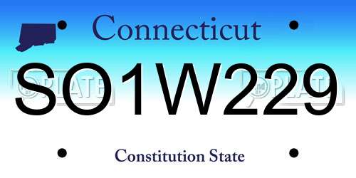 SO1W229 Connecticut License Plate