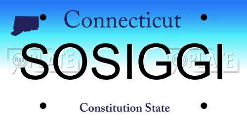 SOSIGGI Connecticut License Plate