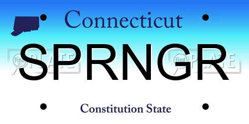 SPRNGR Connecticut License Plate