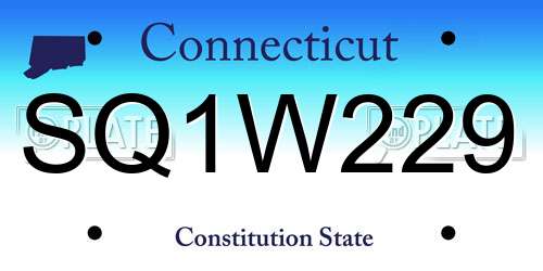 SQ1W229 Connecticut License Plate