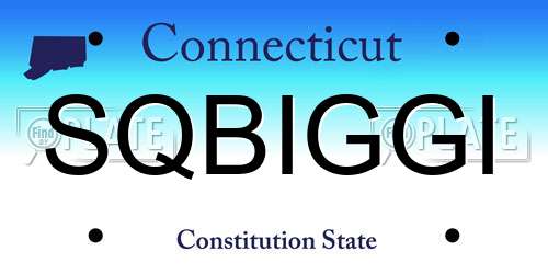 SQBIGGI Connecticut License Plate
