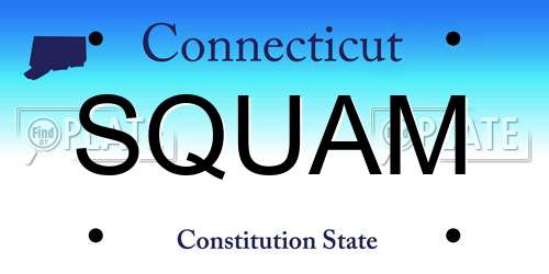 SQUAM Connecticut License Plate