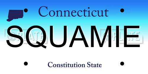 SQUAMIE Connecticut License Plate