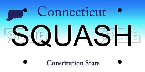 SQUASH Connecticut License Plate