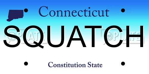 SQUATCH Connecticut License Plate