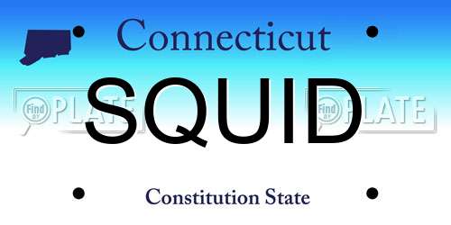 SQUID Connecticut License Plate