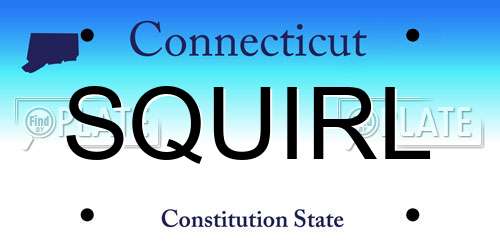 SQUIRL Connecticut License Plate