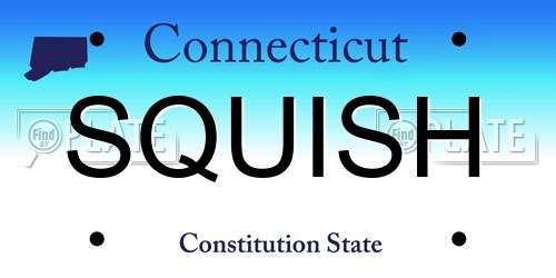 SQUISH Connecticut License Plate