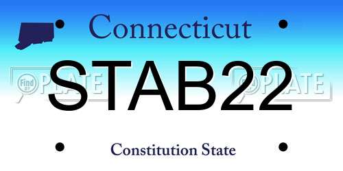STAB22 Connecticut License Plate