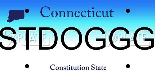 STDOGGG Connecticut License Plate