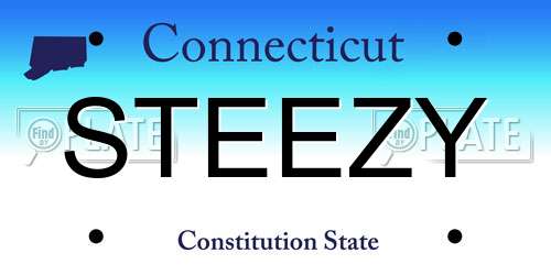 STEEZY Connecticut License Plate