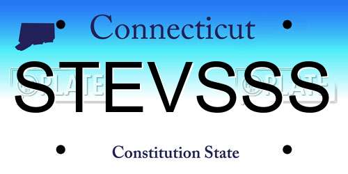 STEVSSS Connecticut License Plate