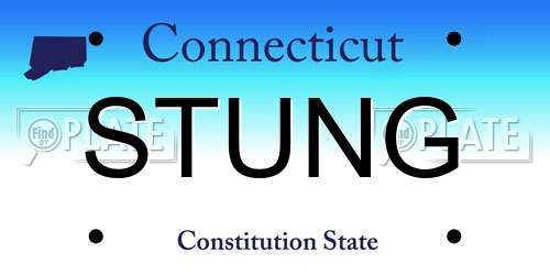 STUNG Connecticut License Plate