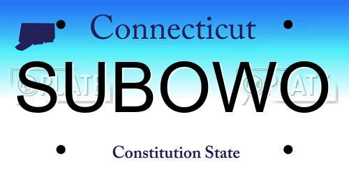 SUBOWO Connecticut License Plate