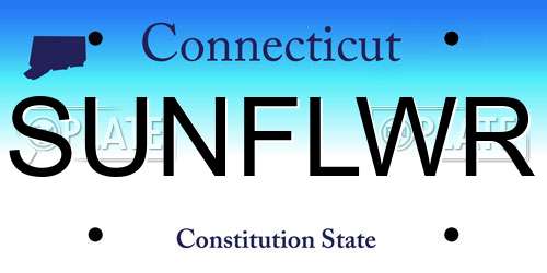 SUNFLWR Connecticut License Plate
