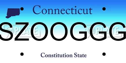 SZOOGGG Connecticut License Plate