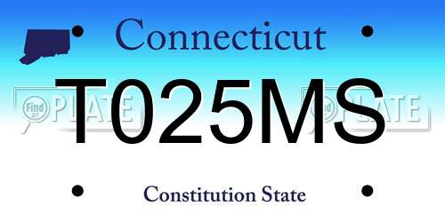 T025MS Connecticut License Plate