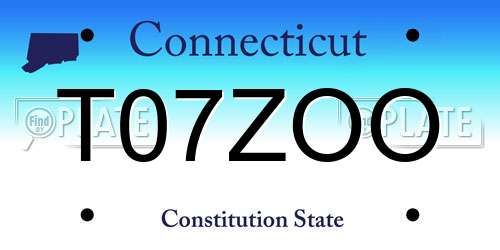 T07ZOO Connecticut License Plate