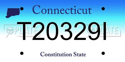 T20329I Connecticut License Plate