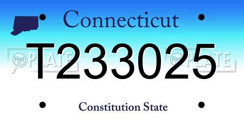 T233025 Connecticut License Plate